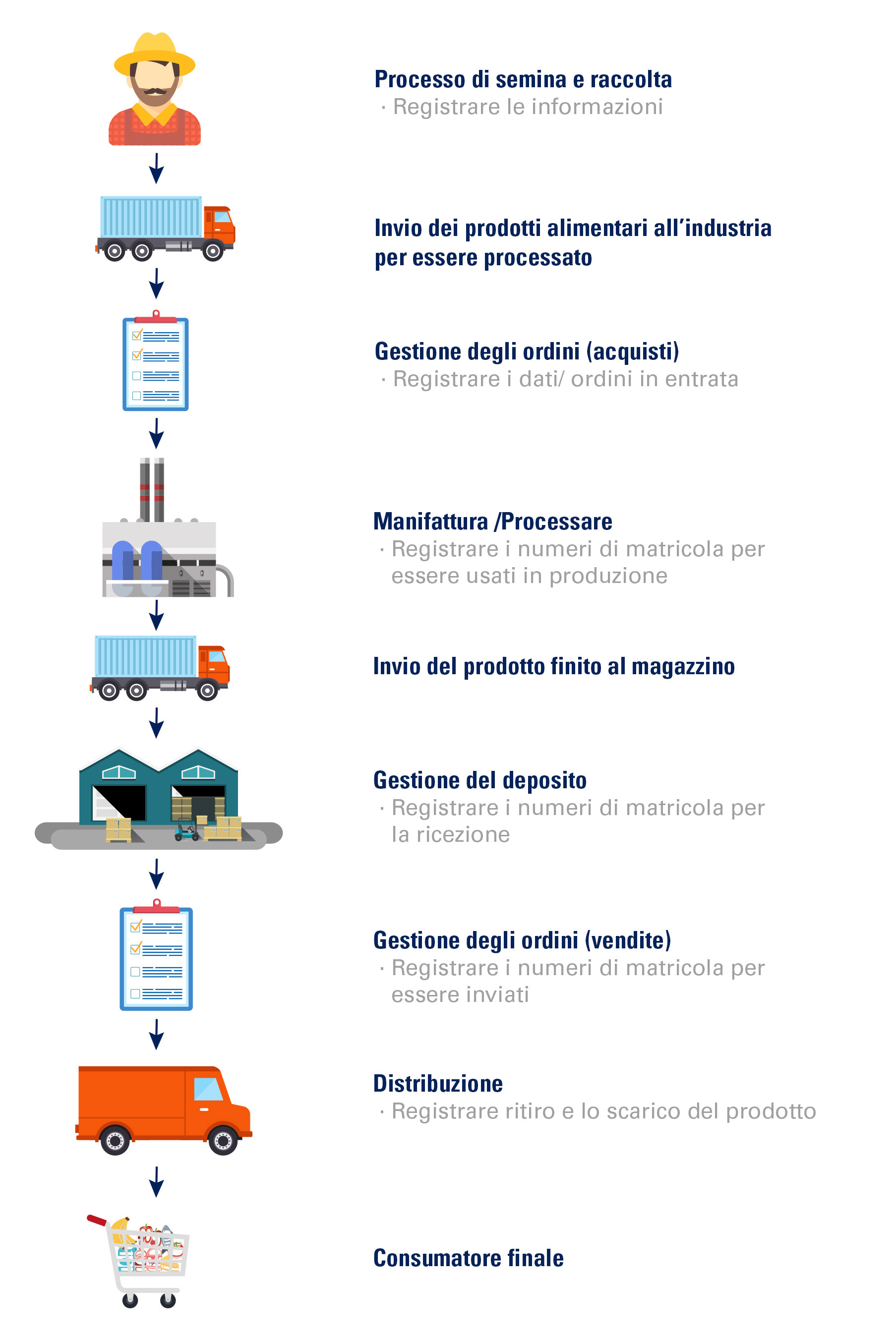 Identificazione-catena-approvvigionamento