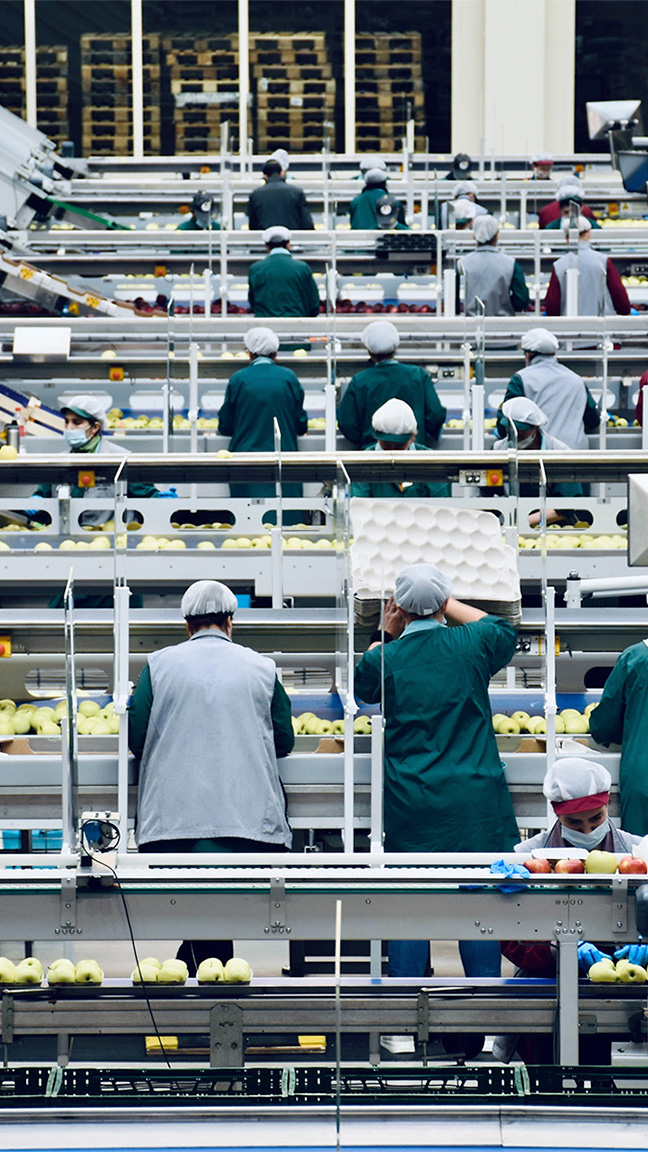 food-production-line